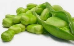 Beneficios para la salud de la Habas