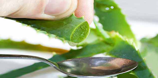 Echa un vistazo a los increíbles beneficios del jugo de Aloe Vera