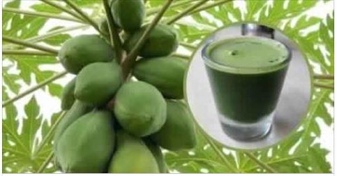 Los beneficios de la papaya y sus propiedades curativas