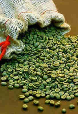 EL CAFÉ VERDE, QUEMA LA GRASA. ¡INCLUSO HASTA 8 KG AL MES!