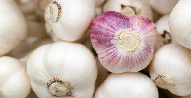 Es importante q conozcas. 7 remedios naturales para combatir las parasitosis intestinales