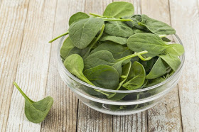 No lo vea el poder de una sola hoja a Diario puede hacer 5 milagro en 1 minuto