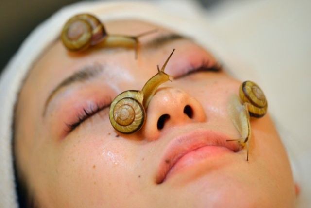 Baba de caracol la poción de belleza más eficaz del planeta