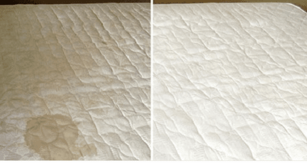 COGE UN PAÑO, COLOCALE ESTE INGREDIENTE CASERO, Y MIRA COMO TU COLCHON QUEDA BLANCA COMO NUEVO, RESULTADOS EN LA PRIMERA PASADA Y OLERÁ INCRIEBLE PARA SIEMPRE