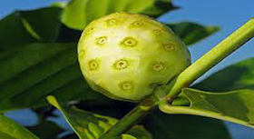 Esta fruta milagrosa es mejor que los medicamentos caros. Tu solución..!