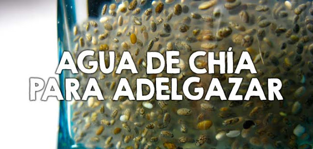 Cómo preparar el agua de chía para adelgazar