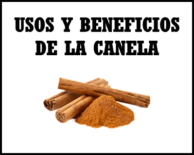 Usos y beneficios de la canela